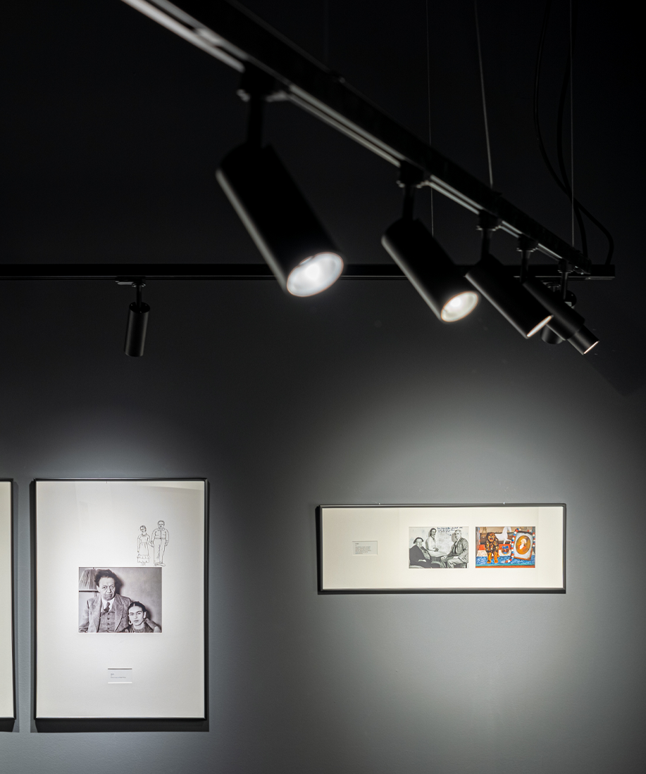 Exposición Frida Kahlo-14