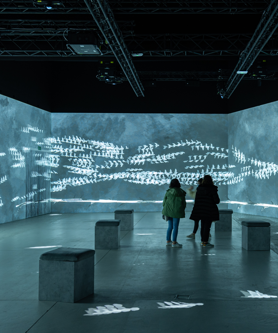 Exposición Frida Kahlo-2