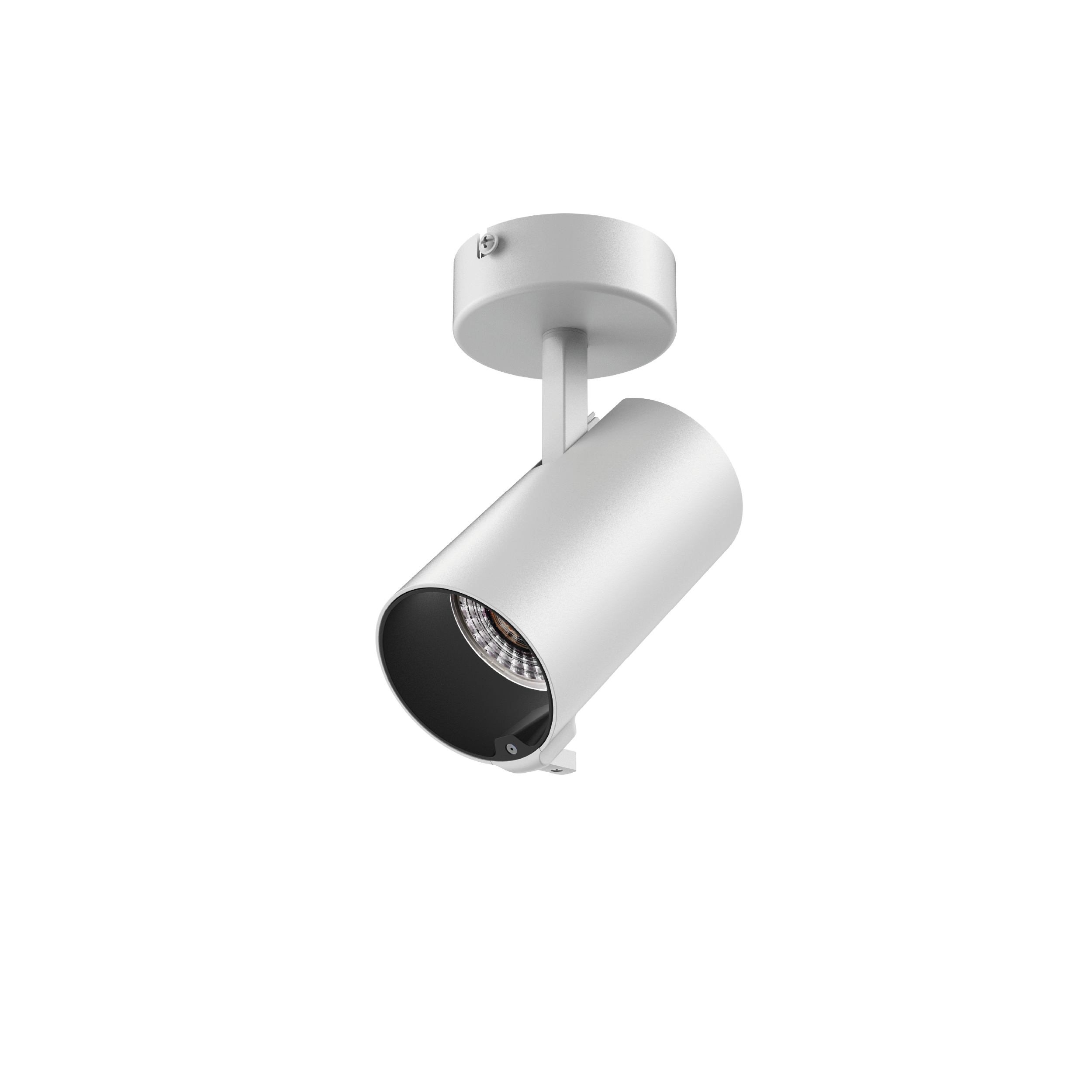 Iris Superficie Blanco