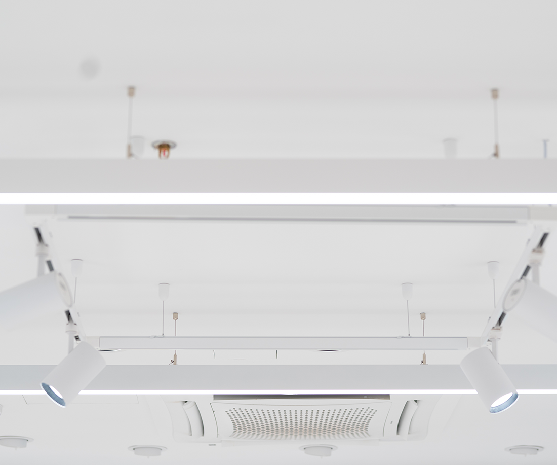 Perfumeria Dalia Fariones-7